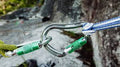 Locking Carabiner